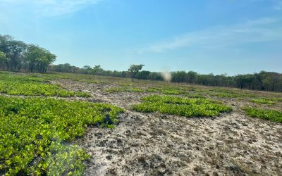 PRIME LAND FOR SALE